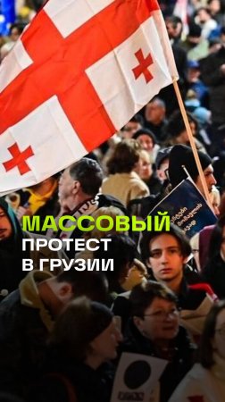 В Грузии полиция жестко разогнала митингующих. Массовые драки и слезоточивый газ