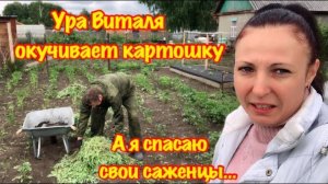 ВИТАЛЯ ОКУЧИЛ КАРТОШКУ/МОЙ ГОРЕ ОГОРОД/ПЛОХАЯ Я ДАЧНИЦА/УРОЖАЯ В ЭТОМ ГОДУ НЕ БУДЕТ!/ЗАРОСШИЙ ОГОРОД
