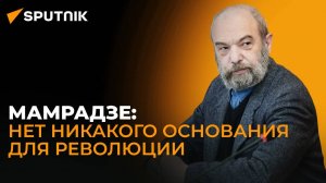 Нельзя насильно устроить революцию в стране, где нет для этого основания – Мамрадзе