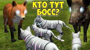 😻Симулятор КОТА и КОШКИ🐾Победила всех боссов🐾cat sim (кат сим)