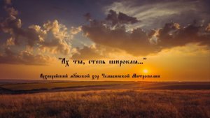 «Ах ты, степь широкая» – РНП в обработке Рустама Зайченко солист Никита Лазарев