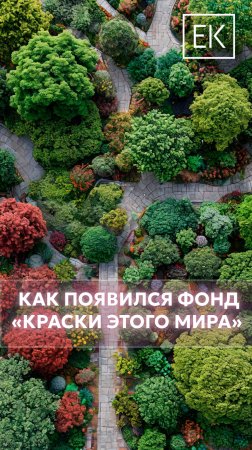 «Создание мира своими руками»: история основания фонда «Краски этого мира»