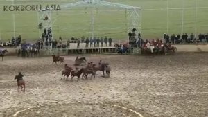 Манас Ниязов Бойка аргымагы менен