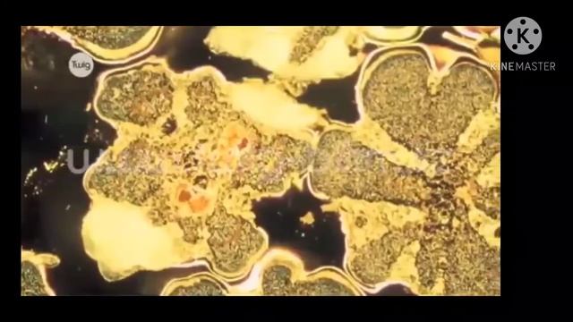 Металдар мен бейметалдар. Сейлова Шара. Химия пәні смотреть онлайн