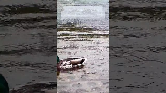 Природа энергии воды воздуха земли и огня