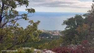 КРЫМ 2024 | ТРОПА ПАЛЛАСА, НИКИТСКАЯ РАСЩЕЛИНА ❤️🌊⛰🌴🏖🐬☀️
