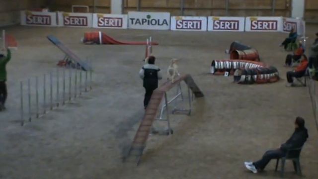 Purina 26 9 10 agility2
