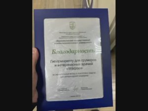 Сотрудничество и перспективы развития ветеринарной индустрии: визит команды WIKIZOO в ВГАУ Иваново