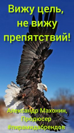 🔥Александр Махонин, Продюсер #пирамидабрендов