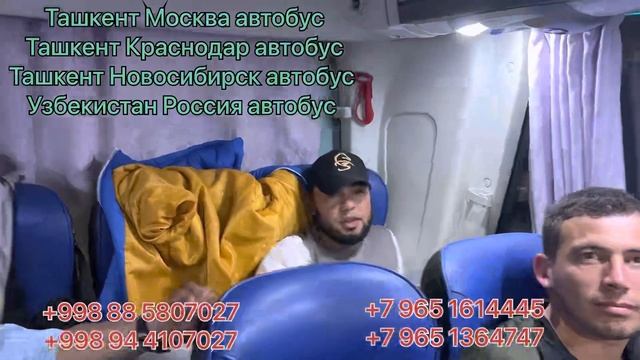 Ташкент Краснодар автобус Краснодар Ташкент автобус Ташкент Мариуполь автобус Ташкент Ростов-на-Дон смотреть онлайн
