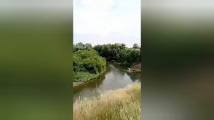 Рыбалка на реке Ворона, село Чернышево Белинский район Пензенская область