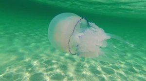 Пляж Крым Евпатория Поповка