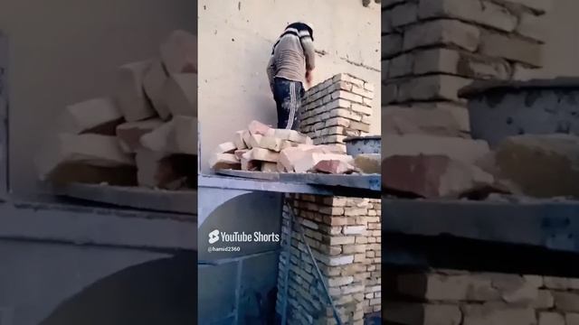 #like #2024 #подписаться #видео