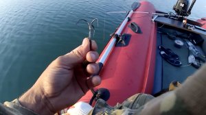 Что там за рыба,сом разгибает крючки😯