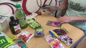 Подготовка к дачному сезону /Поехали в Леруа покупать семена/Какие петунии украсят наш сад?