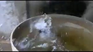 Кот упал 10 раз в воду :D