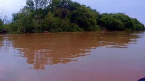 •СПЛАВ ПО РЕКЕ АМУР НА САП-ДОСКЕ• длинна маршрута→20 км