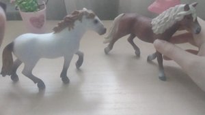 обзор лошадей (гимнастика)