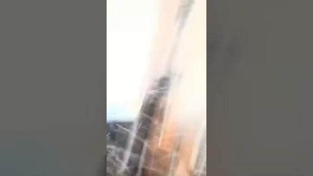 Beirut 4 de agosto 2020 смотреть онлайн