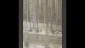 Пермь/Городской маршрут 5Т/Газ-A65R52 Next/Улица Адмирала Ушакова-Южная/