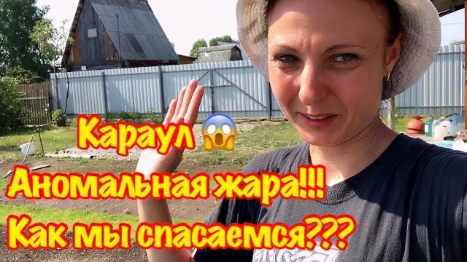 ВЫХОДНОЙ НА ДАЧЕ/КАРАУЛ  АНОМАЛЬНАЯ ЖАРА/КАК МЫ СПАСАЕМСЯ???/САЖАЮ ОГОРОД/МОИ ПЕТУНИИ