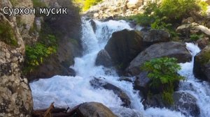 мухриддин холиков туёна 2024