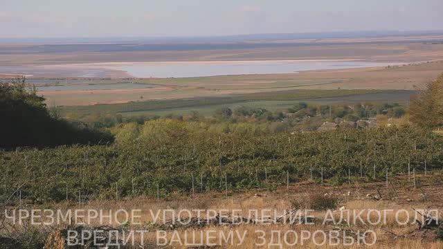 Частная винодельня "Марко" в Ставропольском крае.