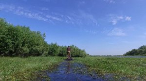 Снегокат