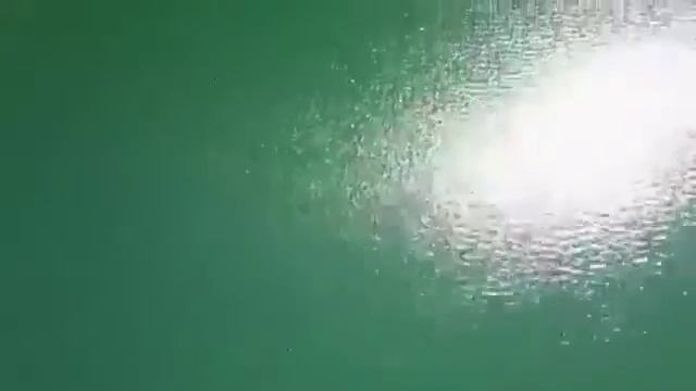 53. (Farzand tarbiyasi) Amru maruf va nahiy munkar 2 - Abdulloh domla. смотреть онлайн