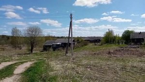 Вашкинский район деревня Конево