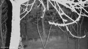 Тест ПНВ с OZON