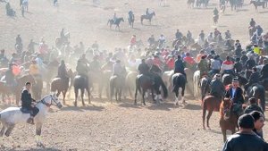 Улоки Теракли 16.11.2024