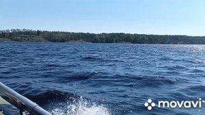 Карелия. Воды Онежского озера. Июль 24.