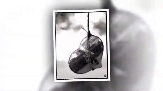 Amr Saad Ma3rafsh Ansaha смотреть онлайн