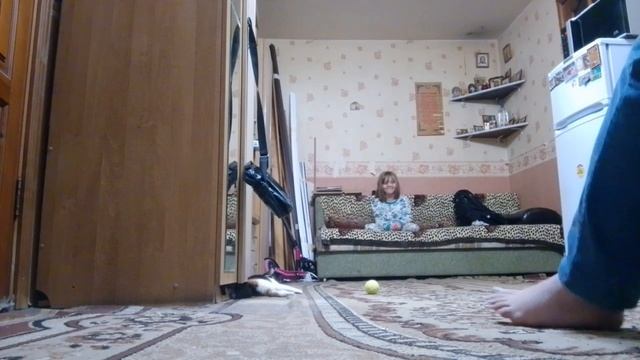 Играем в мячик. смотреть онлайн