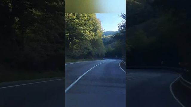 Трасса