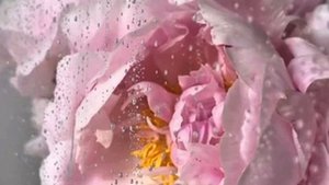 дождь идет на улице .