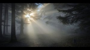 Led Zeppelin - What Is And What Should Never Be (4K/Lyrics)