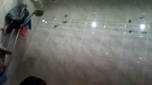 ALS Ice Bucket Challenge || Вызов: Ведро Льда || Айс Бакет