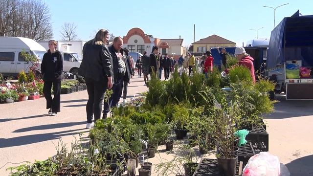 Первая весенняя региональная ярмарка прошла в Молодечно