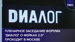 Пленарное заседание форума "Диалог о фейках 2.0" проходит в Москве