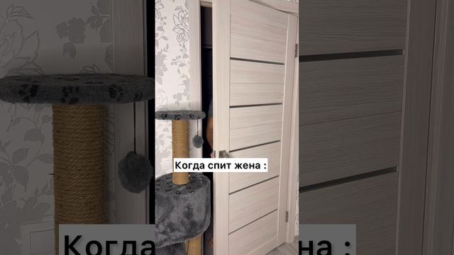 Как кто спит😂