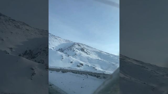 Too-Ashuu смотреть онлайн