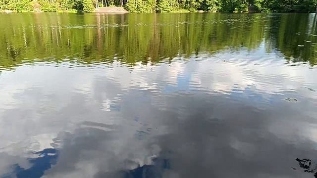 Озеро в посёлке Красный холм, Ленинградская область. смотреть онлайн