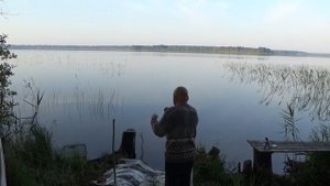 Донка резинка колокольчик Все как раньше -жара +35