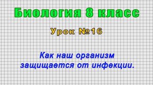 Биология 8 класс (Урок№16 - Как наш организм защищается от инфекции.)