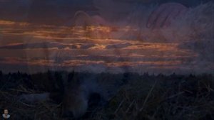 Вот это песня! ВАЛЕРИЙ КОЗЬМИН - ВОЛЧИЦА Лучший шансон!