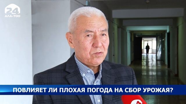 Повлияет ли плохая погода на сбор урожая смотреть онлайн