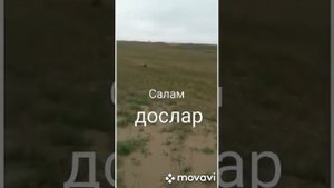ногайские песни & Салам досларым.