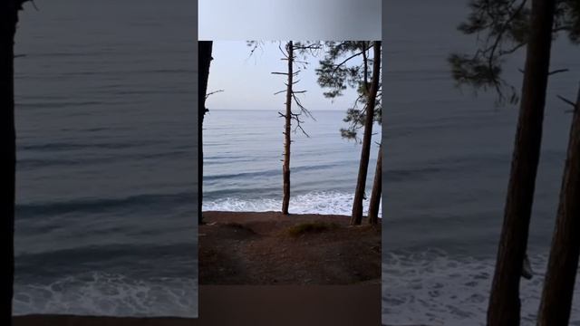 Чёрное море
